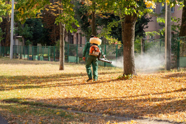 Best Residential Pest Control  in Glenrock, WY