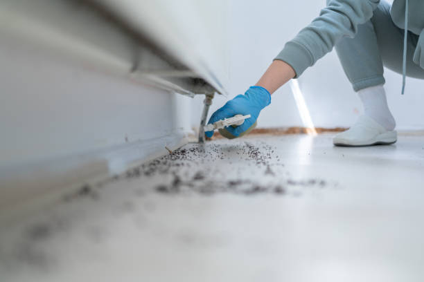 Best Affordable Pest Control Services  in Glenrock, WY