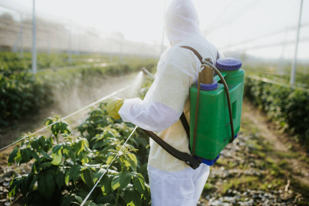  Glenrock, WY Pest Control Pros